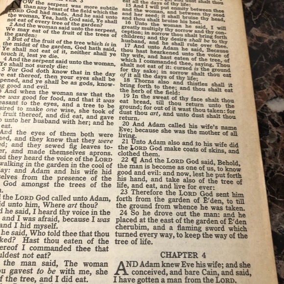 Holy Bible - Picture 14 of 16